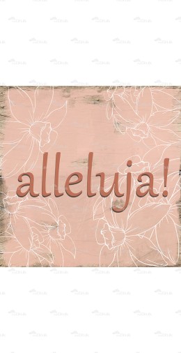 Tabliczka  t_16WL